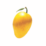 11436568-removebg-preview