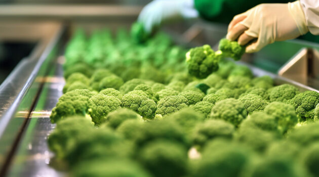 broccoli, tape in the food industry, products ready for automatic packaging. Concept with automated food production. Generative AI, Food.