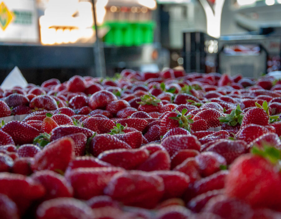 close-up-fruits-sale-market