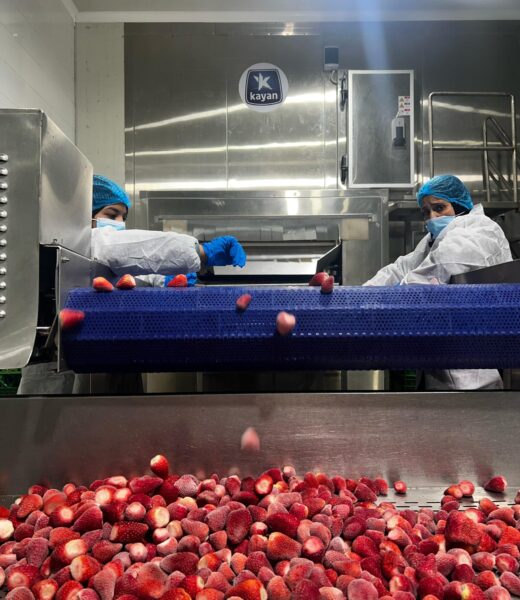 WhatsApp Image 2025-07-15 at 1.20.42 AM (1)