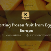 Importing frozen fruit from Egypt to Europe